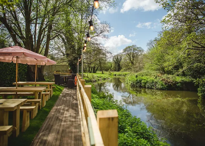 The Stag On The River